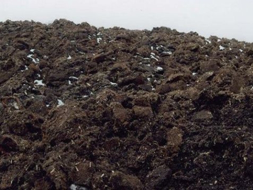 生物肥料的發展前景