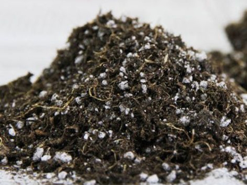 山東陳晨生物科技有限公司營養土生產廠家